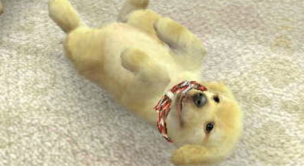 nintendogs-caes