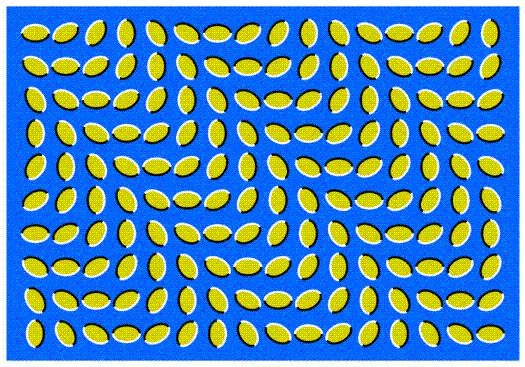 optical illusion_Resized_525x367