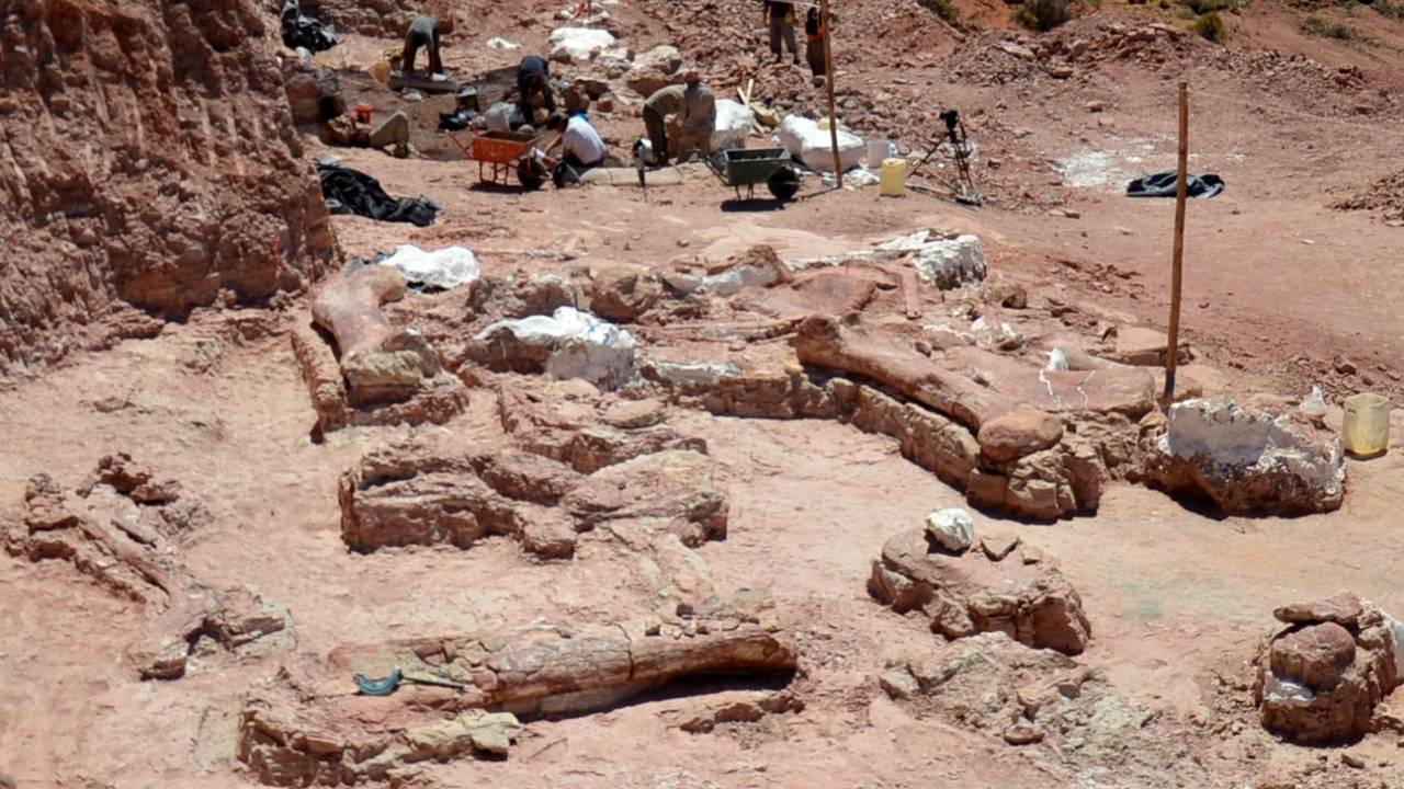 ossodidinossauro