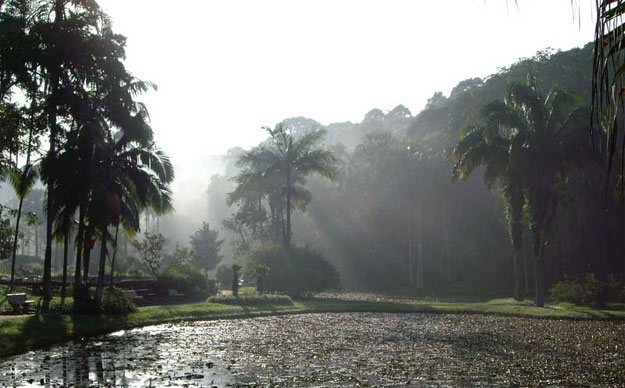 parque-do-estado