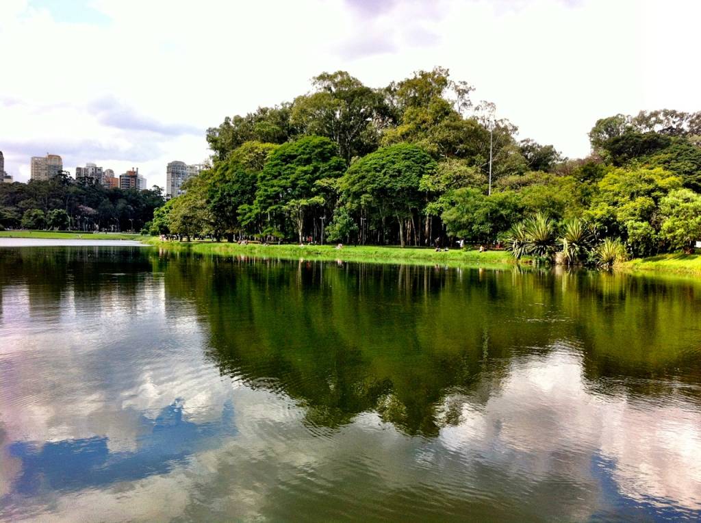 parque-ibirapuera-lago-arvores