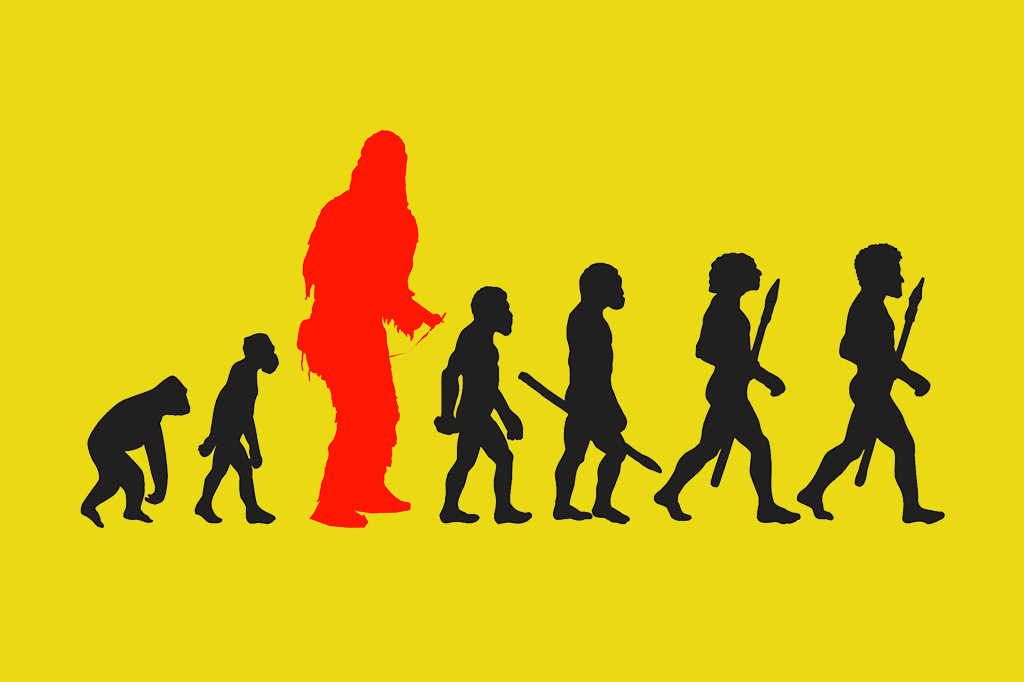 Conheça Chewbacca, o maior australopiteco da história