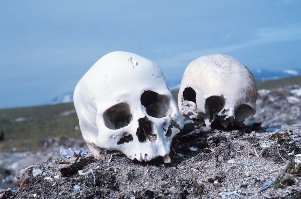 Punuk.Alaska.skulls