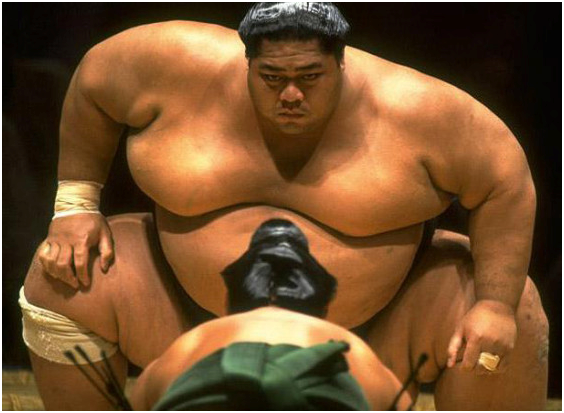 sumo