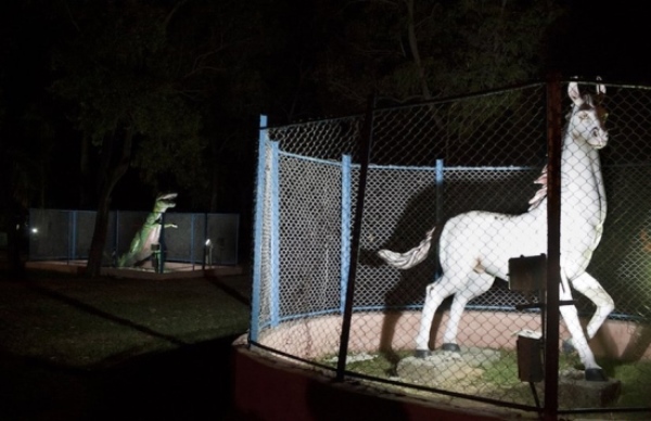 zoo-animais-plastico-india3