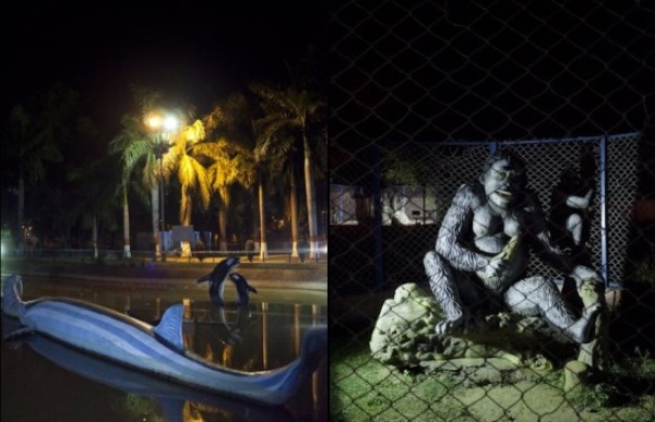 zoo-animais-plastico-india4