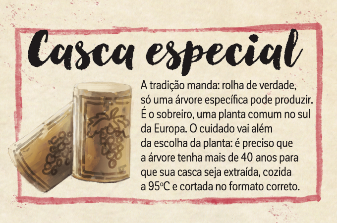 Casca especial