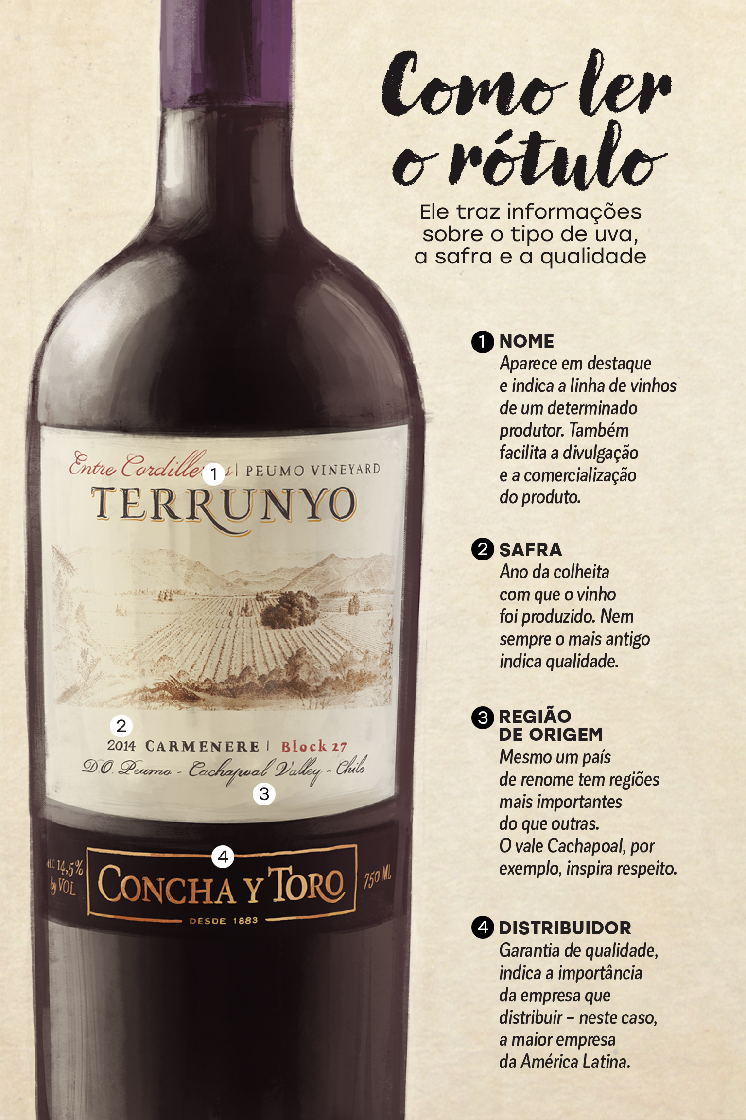 Como ler o r&oacute;tulo