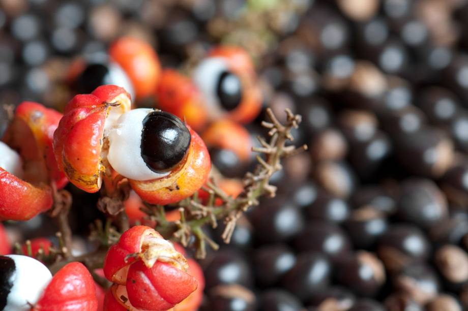 Fruto tipicamente brasileiro, é encarado como medicamento e tônico revigorante pelas tribos indígenas amazônicas há séculos. <strong>Forma de uso:</strong> Cápsula e comprimido. <strong>Indicação:</strong> Atua contra fraqueza e cansaço crônico e estimula o cérebro. <strong>Contraindicação:</strong> Crianças, alérgicos, pessoas com hipertensão, arritmia cardíaca, gastrite, úlcera, cólon irritável, infecções renais, hipertireoidismo, cirrose e predisposição a espasmos musculares. <em>Isento de prescrição médica.</em>