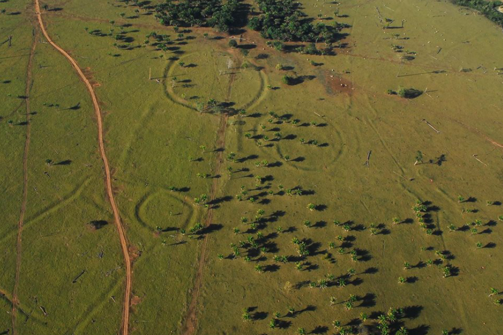 Desmatamento moderno revelou centenas de círculos no oeste da Amazônia brasileira