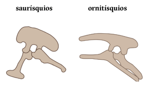 Estudo propõe reorganização radical de genealogia dos dinossauros