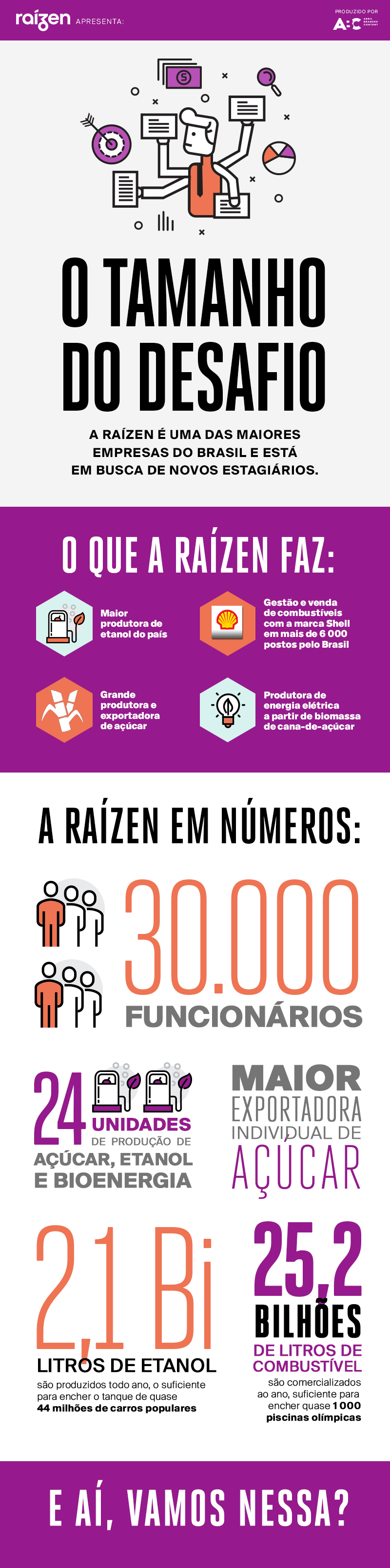 Publi_Raízen_Infográfico