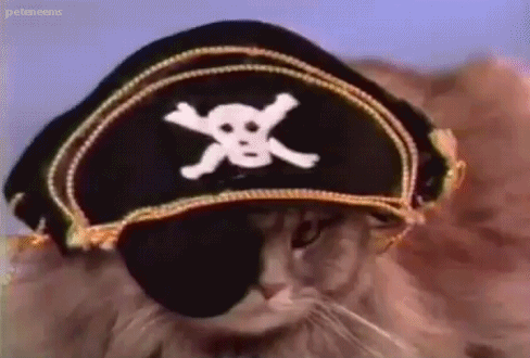 Gato pirata