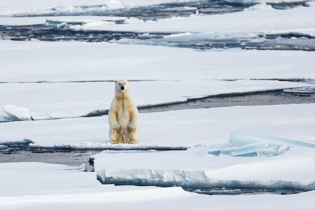 Svalbard WP 03