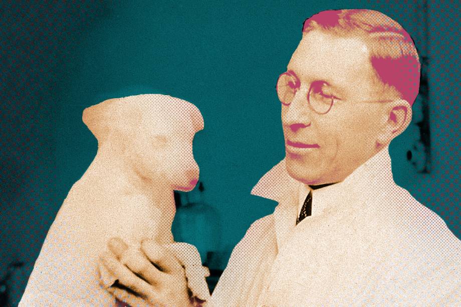 <span style="font-weight:400;"><strong>DOCES SONHOS SÃO FEITOS DISTO</strong> <span>– </span>Frederick Banting tinha 32 anos quando venceu o Nobel em 1923, graças à descoberta da insulina como tratamento para diabetes. A inspiração veio de um sonho, em que ele interrompia a liberação de insulina do pâncreas de um cachorro e via o nível de açúcar no sangue do bicho subir.</span>