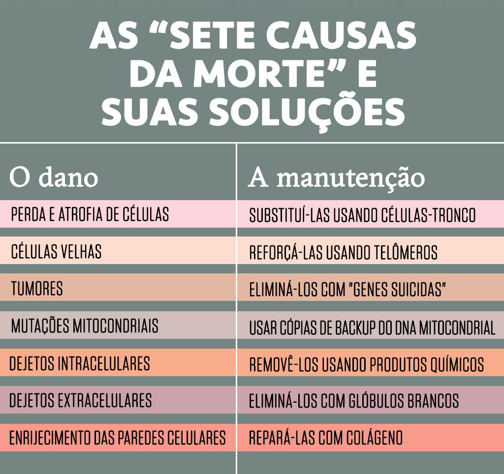 As “sete causas da morte” e suas soluções