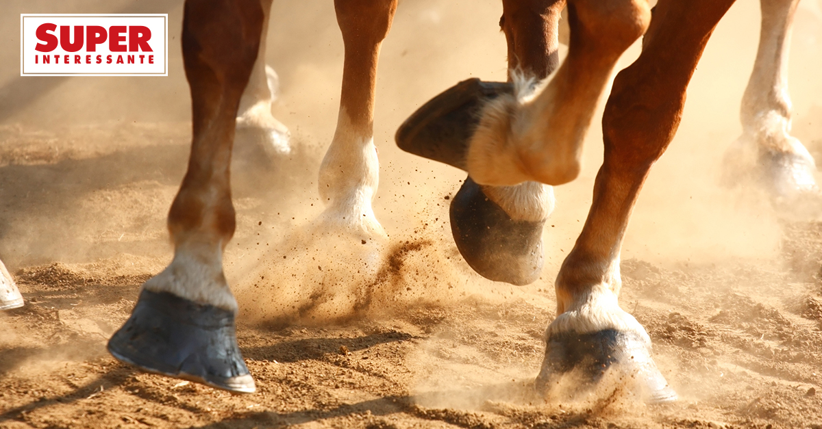 Cavalo que bate as mãos no chão.  Cavalo que bate as mãos no chão