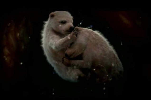 Urso-polar Urso-polar