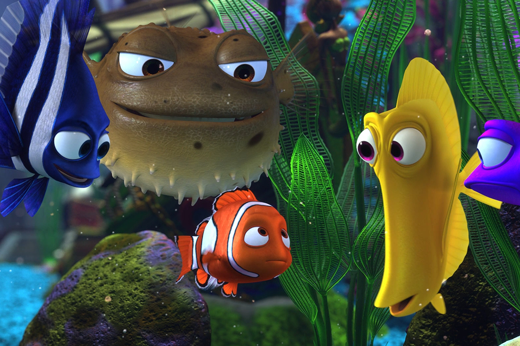 Alguns peixinhos de aquário são mais covardes que outros