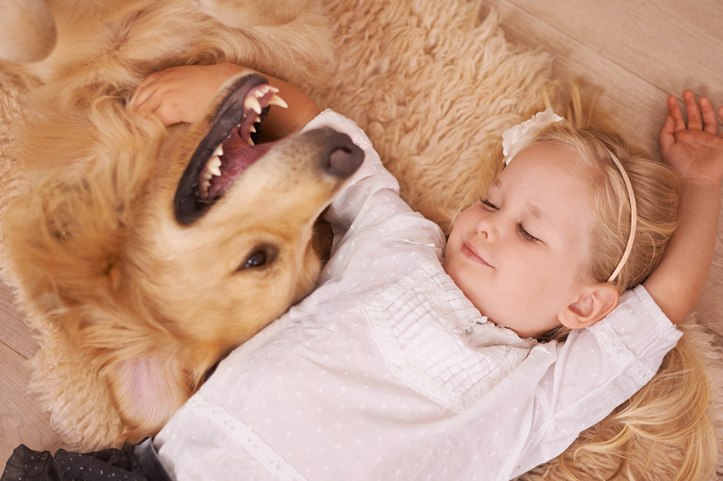 Dormir Com Cachorro No Quarto Atrapalha O Sono Super