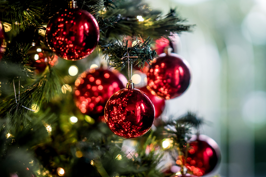 Recorte de um pedacinho de uma árvore de natal, com luzinhas e algumas bolas vermelhas penduradas nos galhos que aparecem na foto.