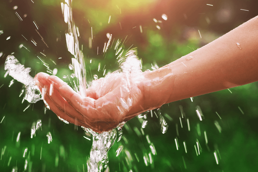 Como economizar água em casa