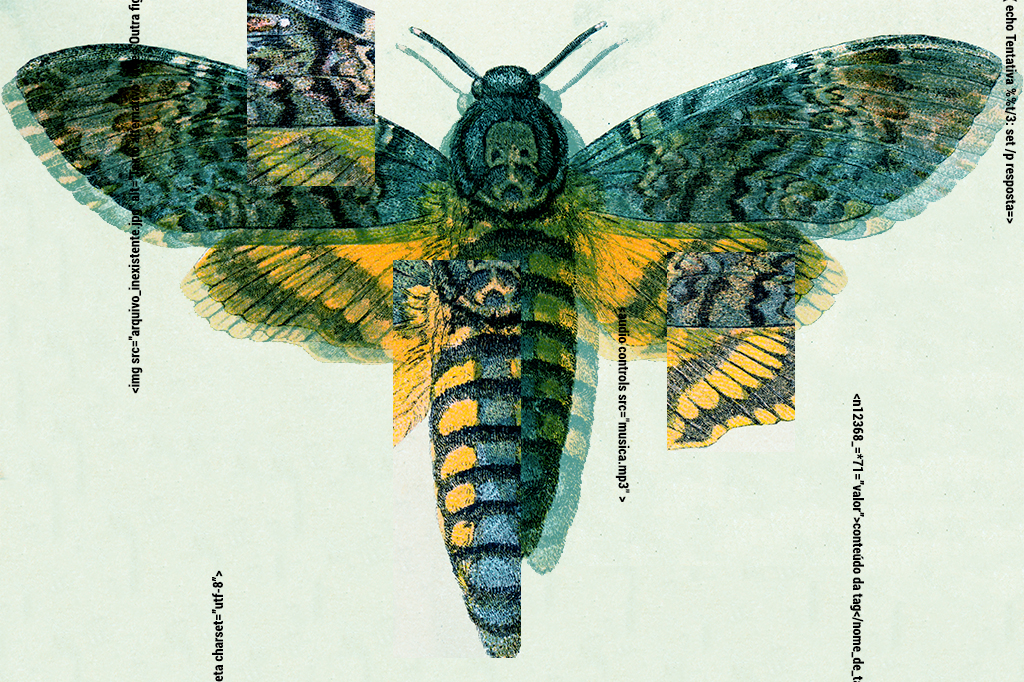 Cicada 3301: o que há por trás do maior mistério da Deep Web?