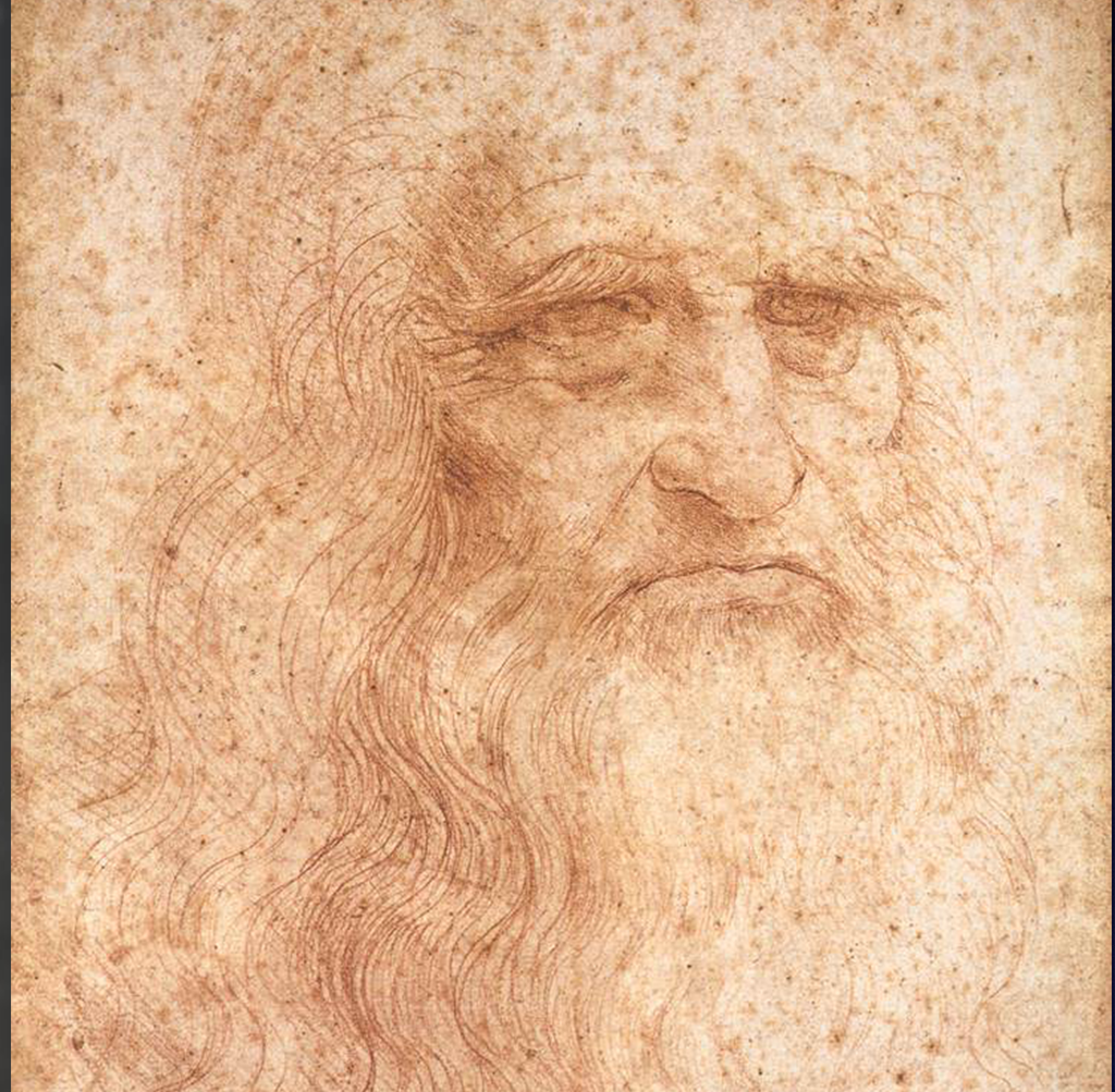 vinci_