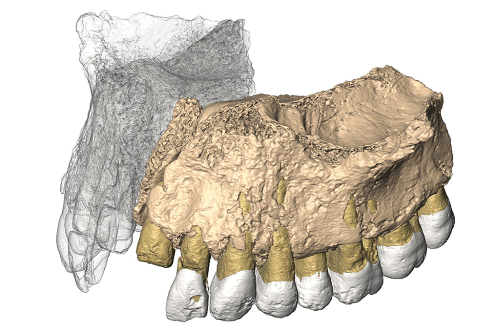 3 notícias de ciência que marcaram a semana – SUPERNOVAS