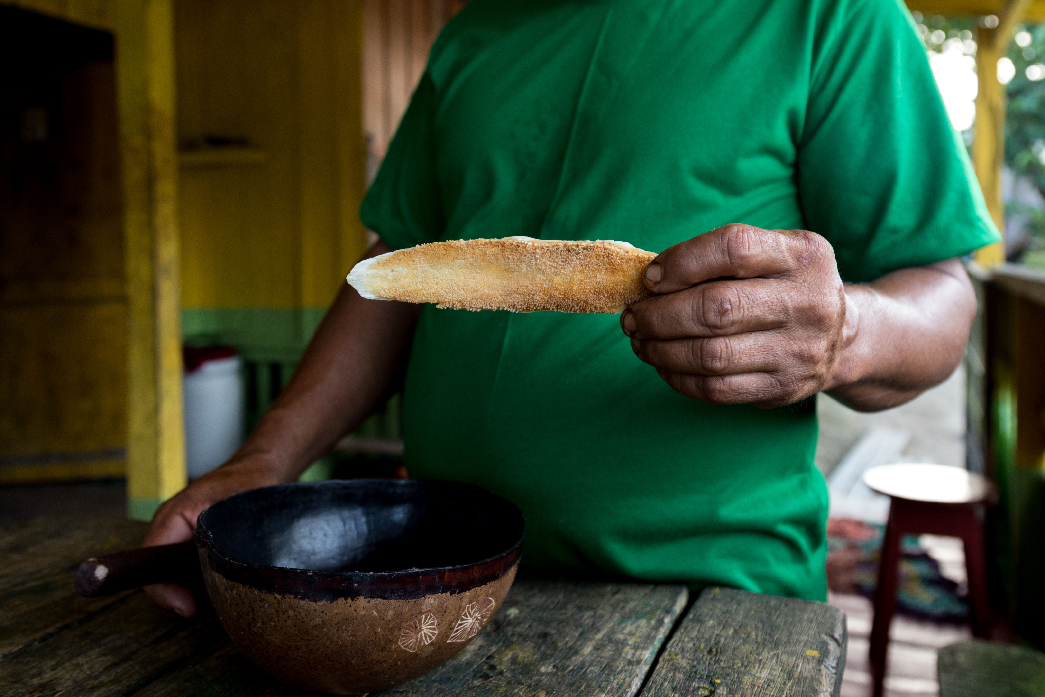 Os maueenses consomem o guaraná em pó, bola ou bastão. Os últimos dois são versões do grão torrado e macerado que costumam ser raladas na língua do pirarucu, peixe amazônico. 