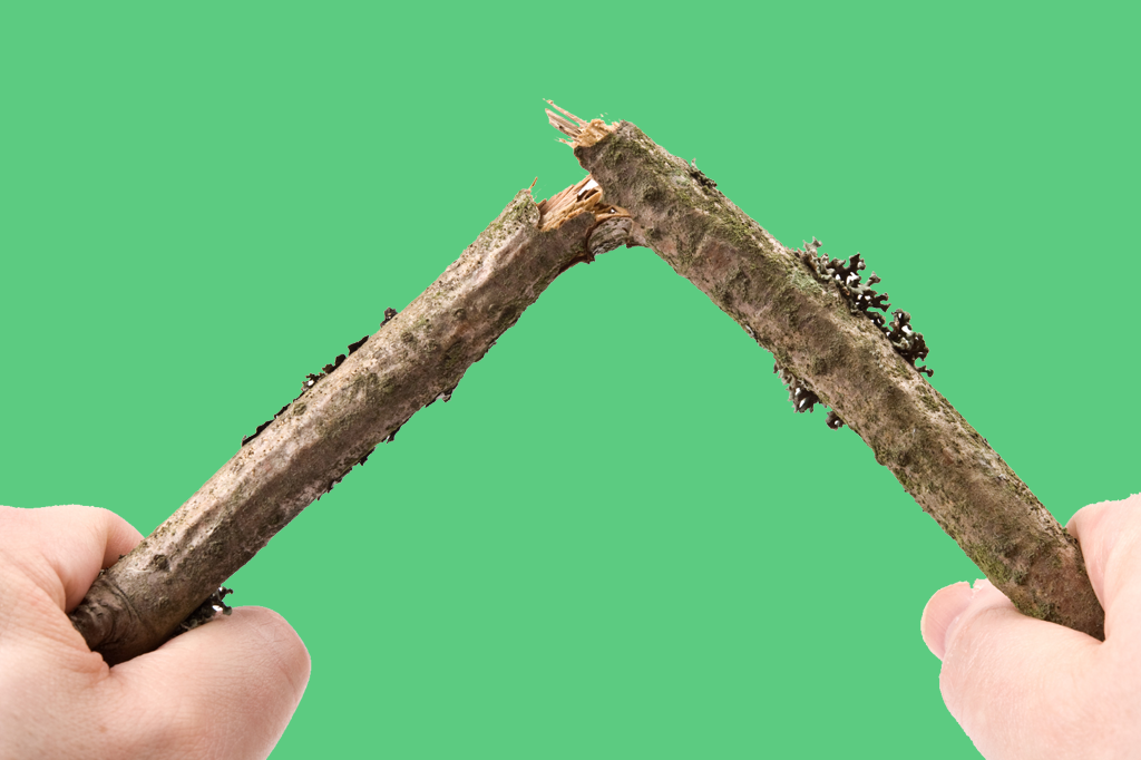 Qual a origem da expressão “quebrar um galho”?