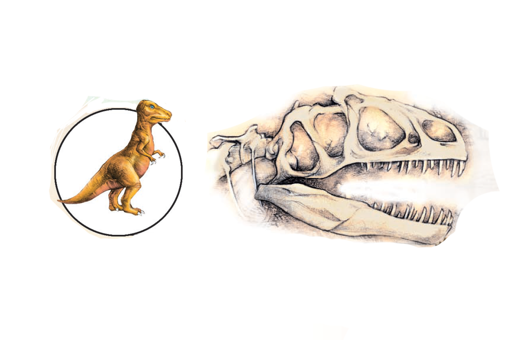 Ilustração de tiranossauro