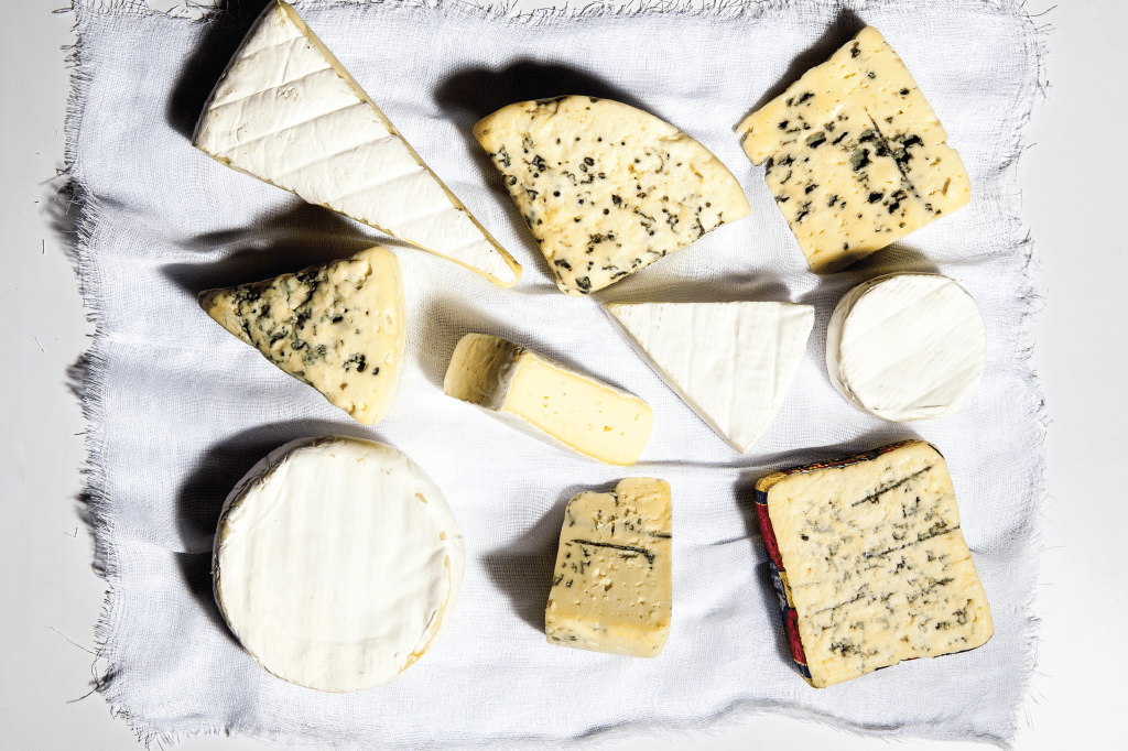 Especial: os micróbios que amamos comer