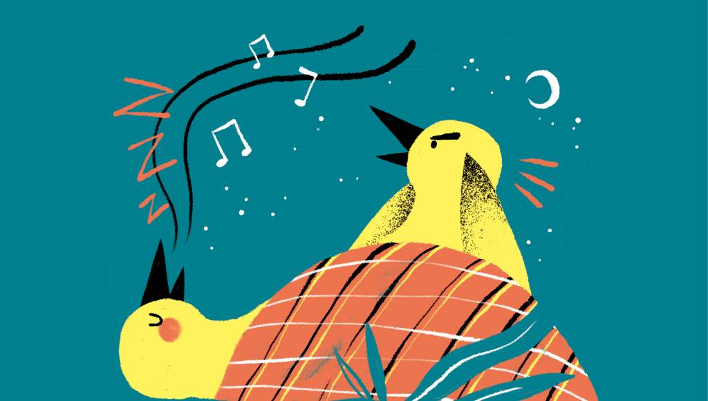 Pássaros cantam durante os sonhos