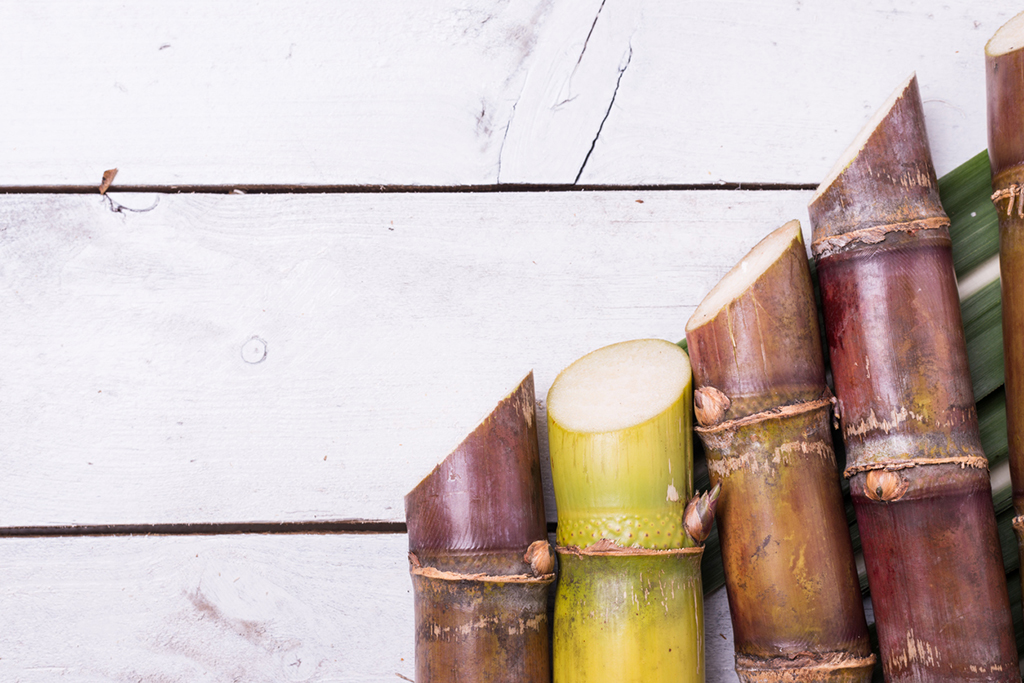 Brasileiros encontram genes responsáveis pela produção de açúcar na cana