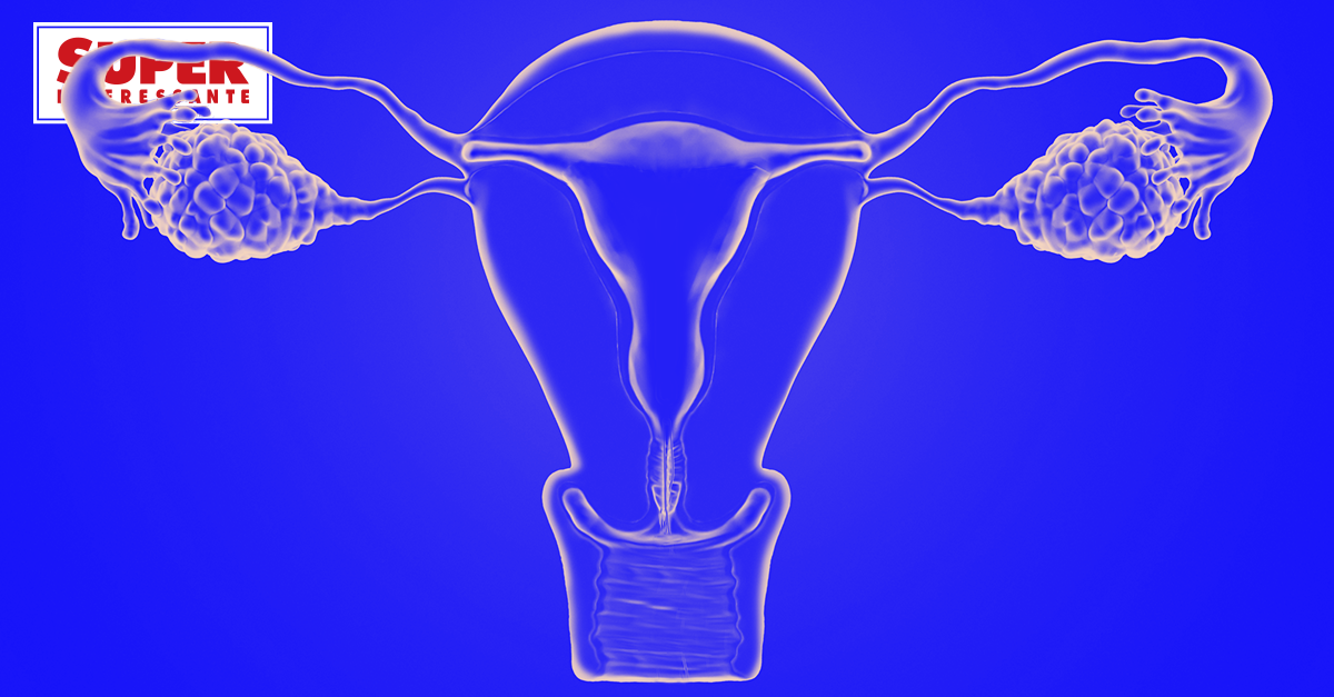 Descoberta possível causa da síndrome dos ovários policísticos | Super