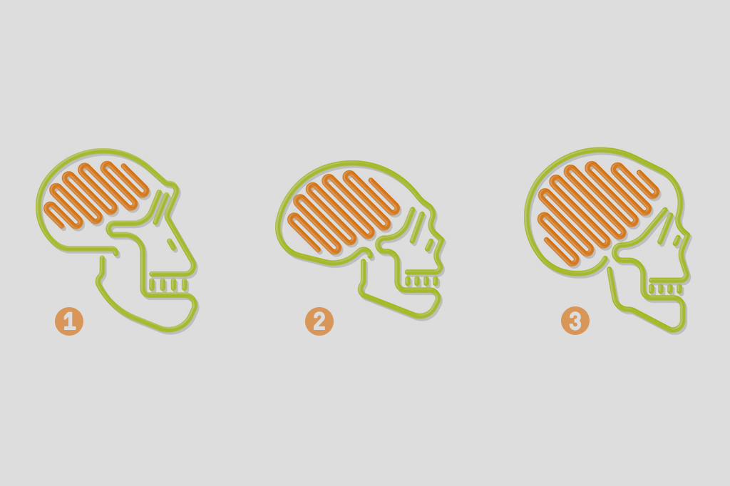 Onde está a inteligência no nosso cérebro?