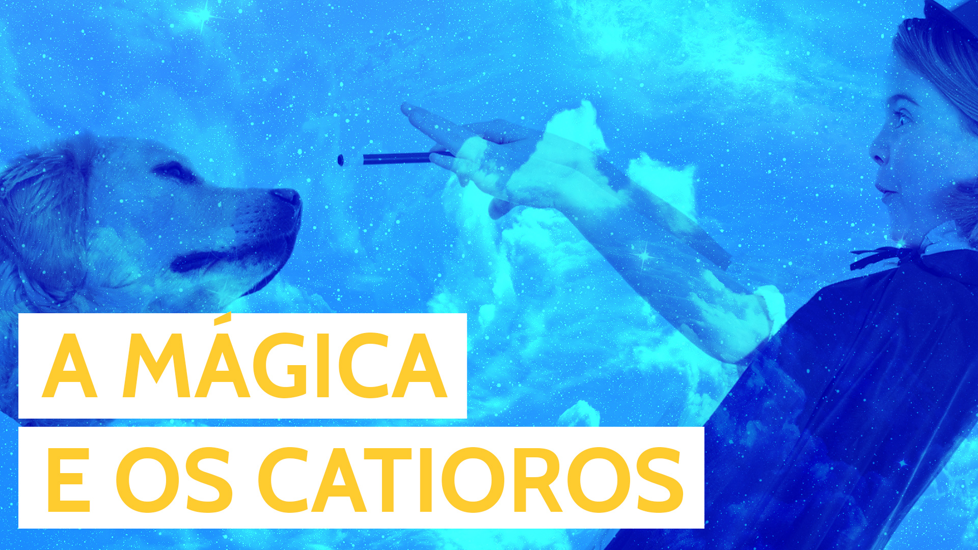 Os melhores GIFS de cachorros reagindo a truques