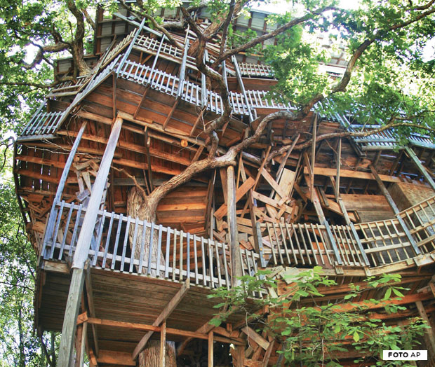 Onde fica a maior casa na árvore já construída?