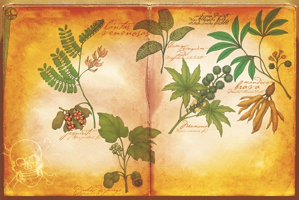 quais-sao-as-plantas-mais-venenosas-do-mundoquais-sao-as-plantas-mais-venenosas-do-mundo