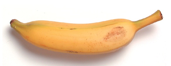 quantos-tipos-de-banana-existem-e-quais-sao-as-mais-nutritivas