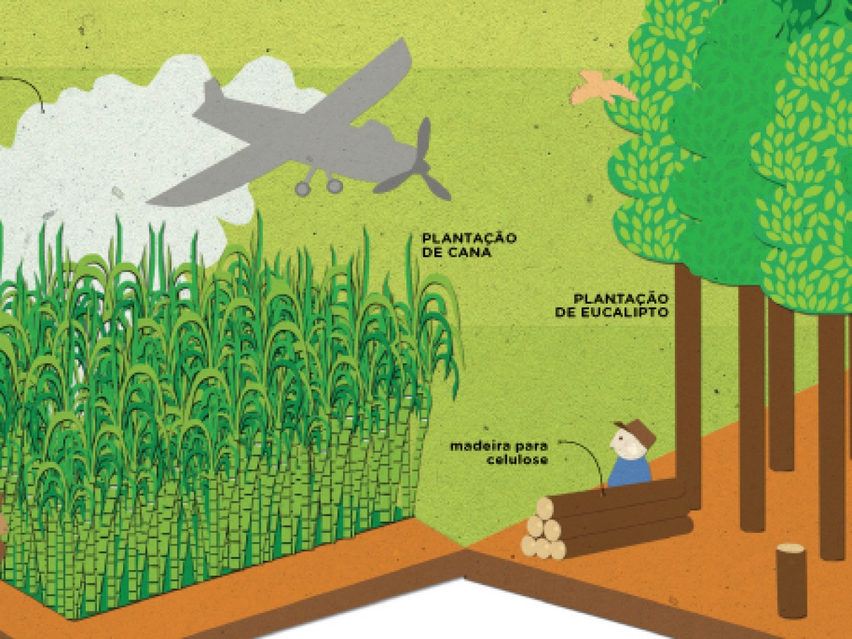 O que são desertos verdes? | Super