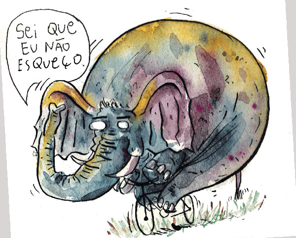 elefante-esquece