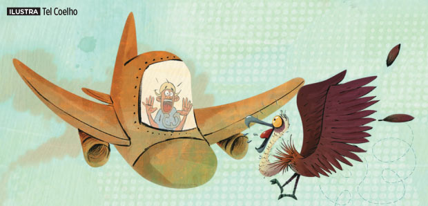 Qual a altura máxima de voo já atingida por uma ave?