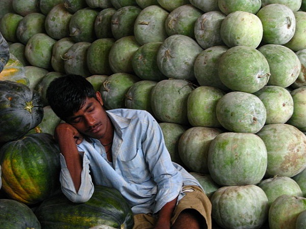 India_-_Koyambedu_Market_-_Faces_35_(3984984312)