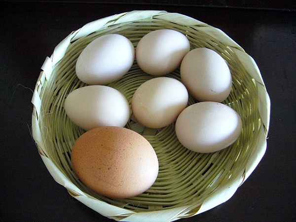 640px-100331_huevos_gallina_de_patio