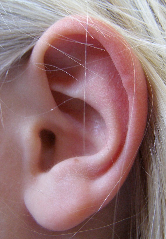 Earcov