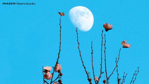 Por que às vezes vemos a lua de dia?