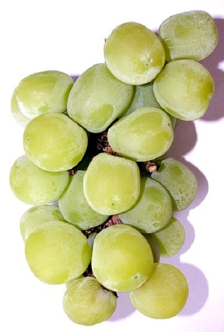 Shine_muscat_(grape)