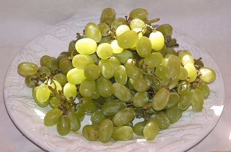 800px-Thompson_seedless_grapes